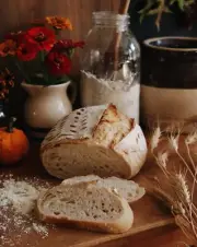 Sourdough Starter Dehydrated Sour Tasty Mississippi Strong - 15 Gram Bag