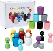 Montessori Sensory Wooden Color Sorting Stacking Cups Toys for Kids Toddlers ...