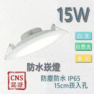 【亮博士】1入 LED防水崁燈 15W 高光效 15公分 崁入孔(IP65 護眼認證 CNS認證)