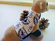 Ferret Harness - Colorado Rockies - S/M