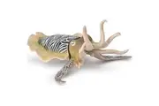 CollectA - Common Cuttlefish Animal Figurine