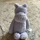 Jellycat Bashful Hippo New With Tag