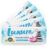 Shower Bed in Bath Body Wash Wipes No Rinse Bathing and Cleansing Wet Wipes