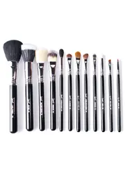 [Sigma] Essential Brush Kit