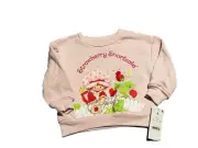 Strawberry Shortcake Pullover Sweatshirt Pink Size 12 Months