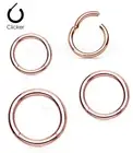 Hinged Seamless Segment Ring Hoop Rose Gold Anodized Ear Cartilage Labret Septum