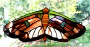 NATIVE AUSTRALIAN MOTH Natural Colours Real Stained Glass HANGING SUNCATCHER