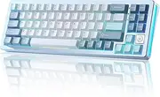 YUNZII AL71 68% Mechanical Keyboard, Full Aluminum CNC, Hot Swappable Gasket, 2.4GHz Wireless BT5.0/USB-C Wired Gaming Keyboard,NKRO Programmable RGB Backlight,for Win/Mac(Blue,Crystal White Switch)