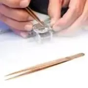 Watch Tweezers Watch Repair Tools for Watch Worker Watch Store Repairing