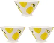 J-Kitchens Workshop Sho~ Set of 3 Anti-Family Rice Bowl, Lemon Fresh Art, Hasami Yaki, Made in Japan