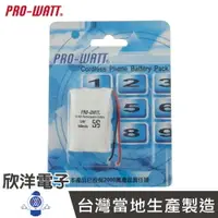 在飛比找樂天市場購物網優惠-※ 欣洋電子 ※ PRO-WATT 無線電話電池 萬用接頭 