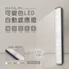 強強滾P HANLIN-LED20/LED30 可變色LED自動感應燈(399元)