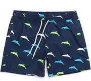 Men's Swimming Beach Surf Shorts Casual Fashion Summer Beach Trunks Fast Dry Print
