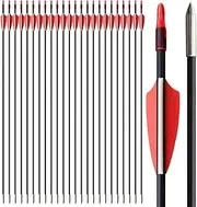 24pcs 31-inches Fiberglass Archery Target Arrows - Practice Hunting Arrow for Archery Compound & Recurve & Traditional Bow & Longbow