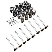 VALVE TRAIN KIT FOR MASSEY FERGUSON TEF20 TRACTORS.