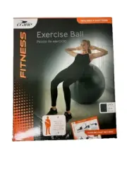 Crane Fitness Exercise Ball 33" Grey Includes Exercise Chart Foot Pump