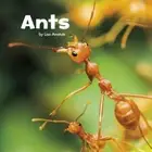 Ants Book for Children age 4-8 Facts & Learning Hardcover Book NEW