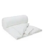 Gingerlily Winter Weight Silk Filled Comforter, Twin