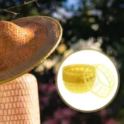Rice Paddy Hat Hat Vietnamese Funny Party Hat Conical Hat Frame