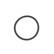 Intex 26651EG Replacement Pool O-Ring Gasket for Sand Filter Pump Motor Inlet