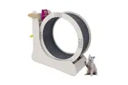 Cat Exercise Wheel Toy Running Treadmill Exerciser Scratcher Board Furniture Roller Sports Play Gym Equipment with Carpet Runway