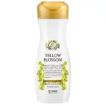 [DAENG GI MEO RI] YELLOW BLOSSOM 脫髮護理護理 300ML