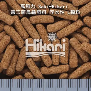 Hikari 高夠力 Saki-Hikari 善玉菌烏龜飼料 浮水性 澤龜 斑龜 巴西龜 甜甜圈龜