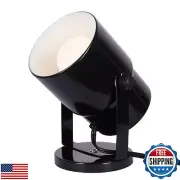Catalina Lighting 24291-000 Multipurpose Spotlight Accent Lamp, Desk or Wall