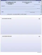 Printed Computer Checks Comparable With QuickBooks w / CUSTOM Logo 250