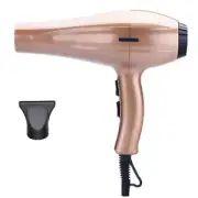 Hair Diffuser High Power Negative Ion Negative Ion Electric Hair Dryer Rose