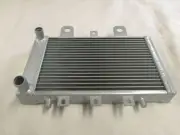 For Triumph Thunderbirds / Legends 1995-2002 Aluminum Radiator Silver