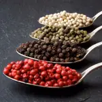 黑、白、紅、綠胡椒粒 BLACK 、WHITE 、RED 、GREEN PEPPERCORNS