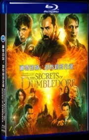 2022 Movie Collection Fantastic Beasts: The Secrets of Dumbledore (2022)