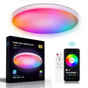 Elfeland 30W Smart RGB Ceiling Light with WiFi Bluetooth Remote Control Dimmable APP & Voice Control Compatible With Ale