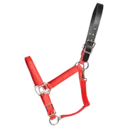 HORSE SIZE- READY MADE - Red TURNOUT HALTER Made from BETA BIOTHANE