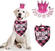 Bandana - Girl Dog Birthday Hat with Number - Supplies for Small & Medium Dogs