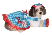 Rubies Wizard of Oz Dorothy Costume for Dogs or Cats Halloween Party Movie