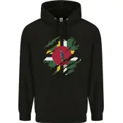 Torn Dominica Flag Dominican Day Football Childrens Kids Hoodie