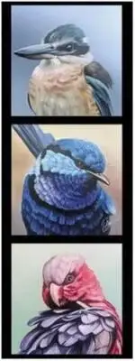 Australian Wildlife Kookaburra Wren Galah Chris Riley DV3913 Cotton Fabric Pnl