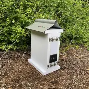 Australian Native Bee Hive Vertical Educational Stingless BeeHive Budding Only