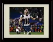 16x20 Framed Danny Amendola - New England Patriots Autograph Promo Print -