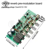 PT2399 Microphone Audio Amplifier Board OK339 Karaoke Reverb Preamplifier