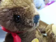 Vintage STEIFF TEDDY BEAR*MOHAIR*Fully Jointed*8" *button*all ID *D