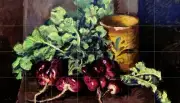 Still Life Radish Tile Mural Kitchen Bathroom Wall Backsplash Ceramic 2946