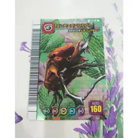 在飛比找蝦皮購物優惠-舊版 甲蟲王者 甲蟲卡 日版 5周年 魔德甲蟲卡 魔德 象皮