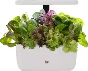 Harvest 2.0, Indoor Garden Hydroponic System with LED Grow Light, Holds up to 6
