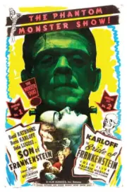Frankenstein Double Feature Movie Poster Print 17 X 12 Reproduction