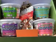 FREEZE DRIED CANDY GIFT BOX RAINBOW TROPICAL SOUR WILD BERRY CHAMOY SAMPLE SET