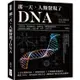 那一天，人類發現了DNA：大腸桿菌、噬菌體研究、突變學說、雙螺旋結構模型……基因研究大總匯，了解人體
