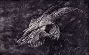 Goat skull drawing | Realism | Graphite and Ink on Claybord | art print by Dakos